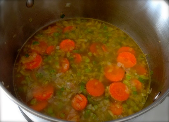 Just finished sauteing the vegetables and poured in some stock