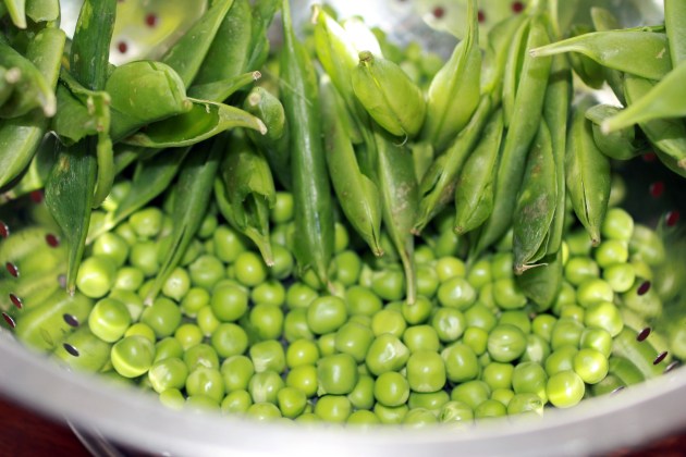 Freshly shelled peas and pea pod necklace