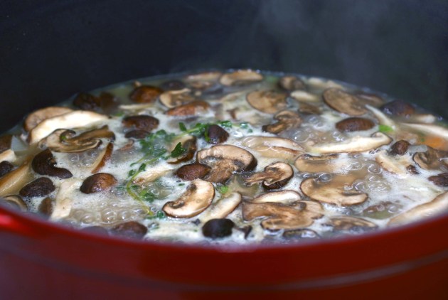 Mmm... steamy pot of mushroom soup