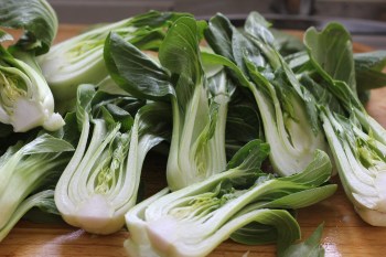 Beautiful baby Bok Choi