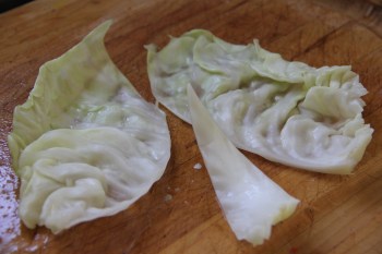 This is how I removed the coarsest part of the leaf