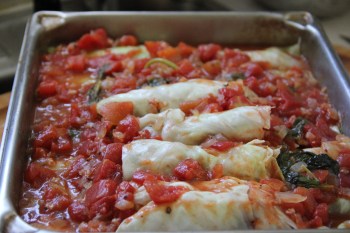 Holubtzi, or Stuffed Cabbage Rolls, ready for the oven
