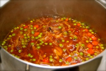 Vegetarian Borscht a-la Tuwim's poetry