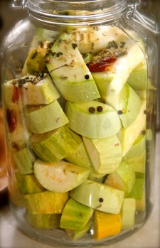 Lacto-fermented pickled summer squashes from our garden