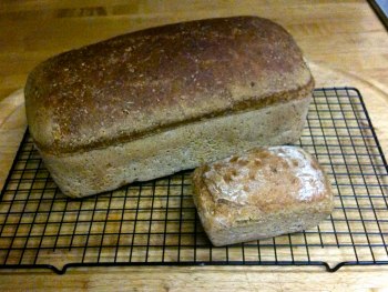 A grainy picture of my very first sourdough bread