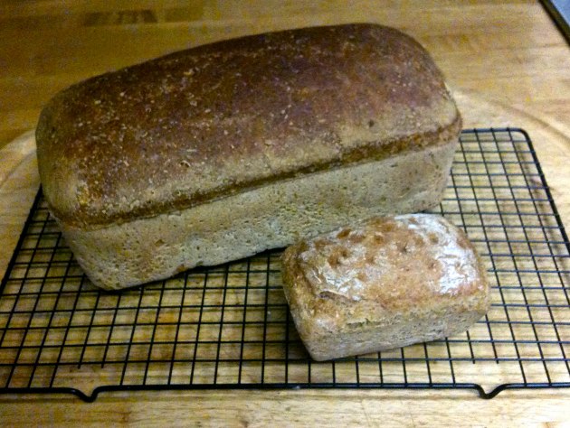 A grainy picture of my very first sourdough bread A grainy picture of my very first sourdough bread