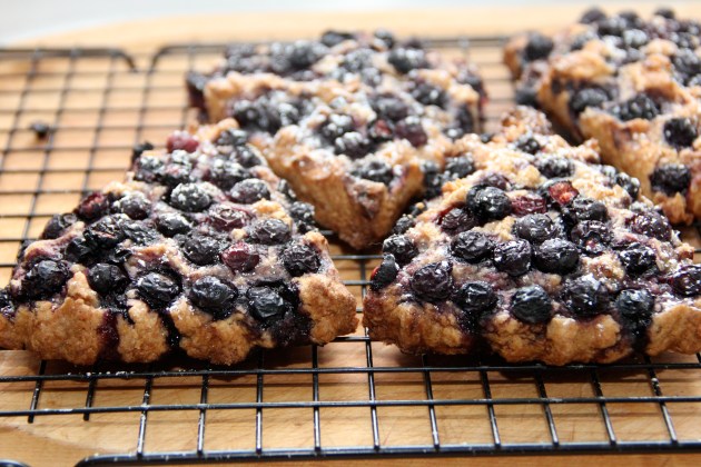 Spelt Blueberry Scones with Coconut
