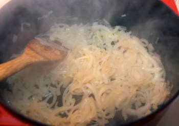 Browning onions for Beef Stroganoff