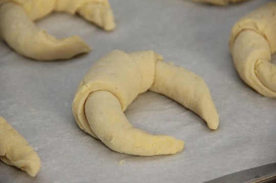 Proofing the Sourdough Croissants