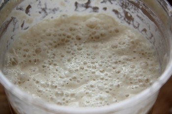 My trusted wheat sourdough starter