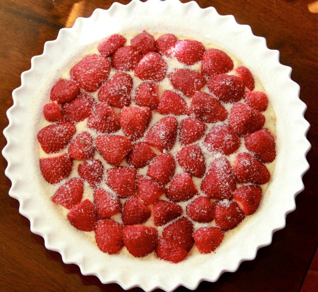 Making Strawberry Cake -- lining up the strawberry halves