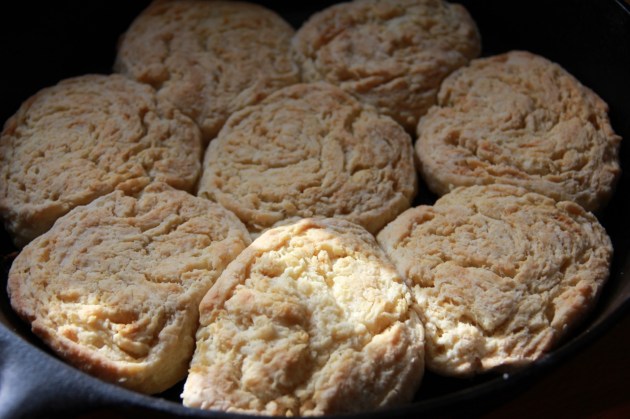 Against-the-rules Biscuits
