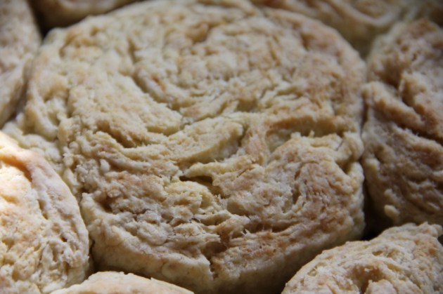 Against-the-rules Biscuits