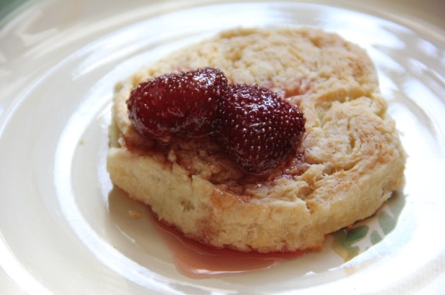 Against-the-rules Biscuits