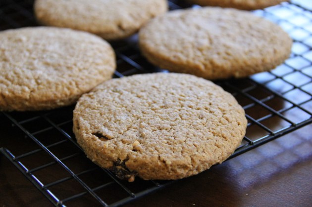 Russian Oatmeal Cookies