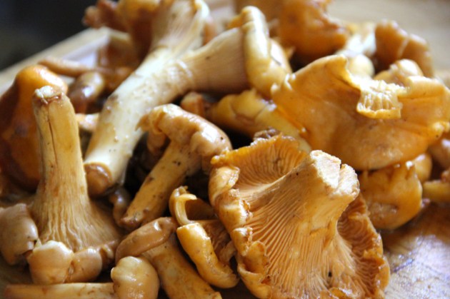 Mushroom Barley Soup With Chanterelles