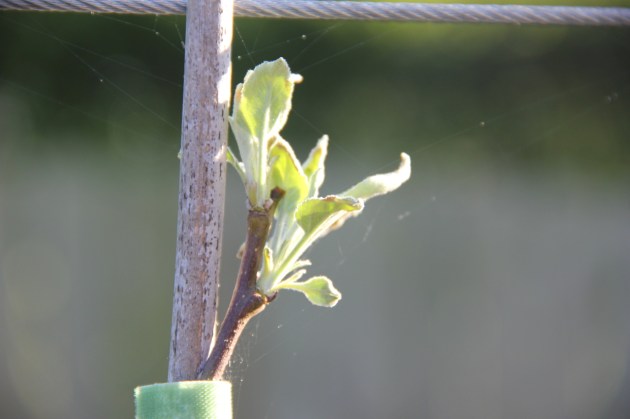 Spring is just around the corner!