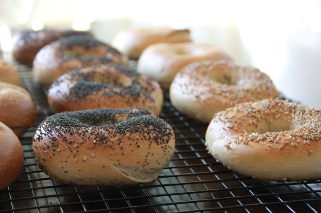 NY Style Bagels -- Wild Sourdough Version