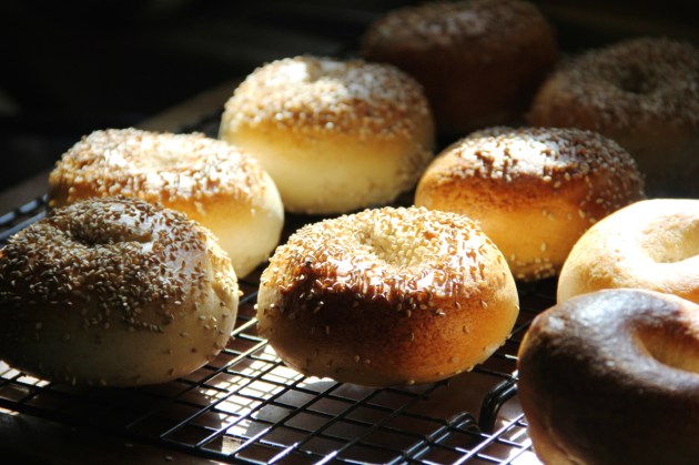 NY Style Sourdough Bagels